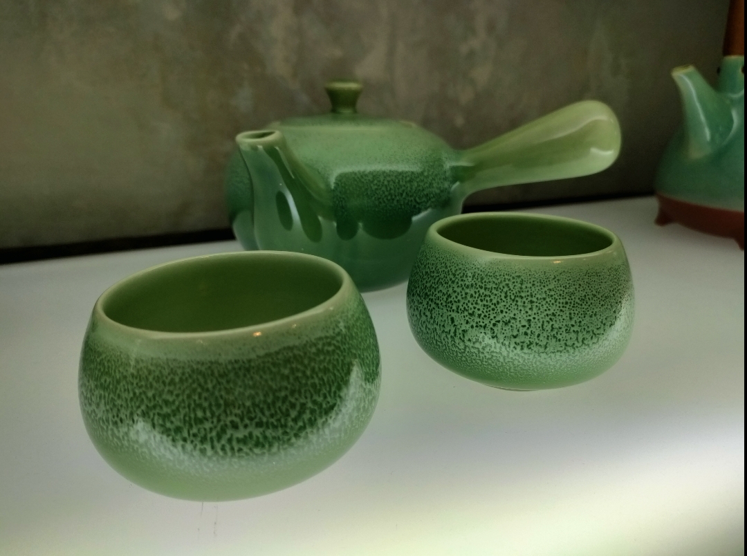 天然貝殻 螺旋状 大型 バリ購入品 爬虫類・両生類用品